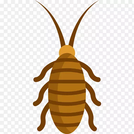 电话昆虫电脑图标中的蟑螂-蜜蜂