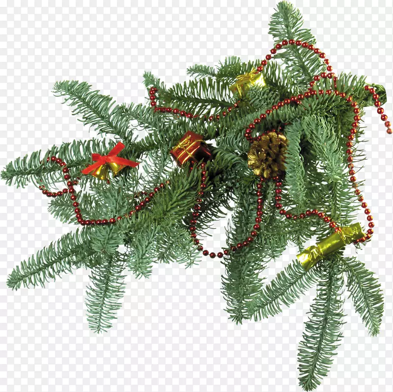 新年树圣诞树装饰冷杉枝条图片