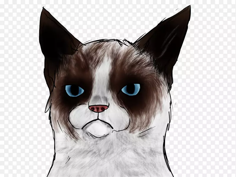 脾气暴躁的猫：一本脾气暴躁的书雪鞋猫马克斯猫