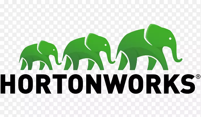 Hortonworks Amazon web服务apache Hadoop大数据分析-业务