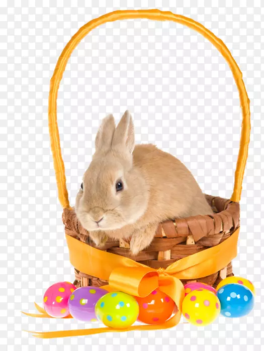 复活节兔子篮子兔子剪贴画-复活节