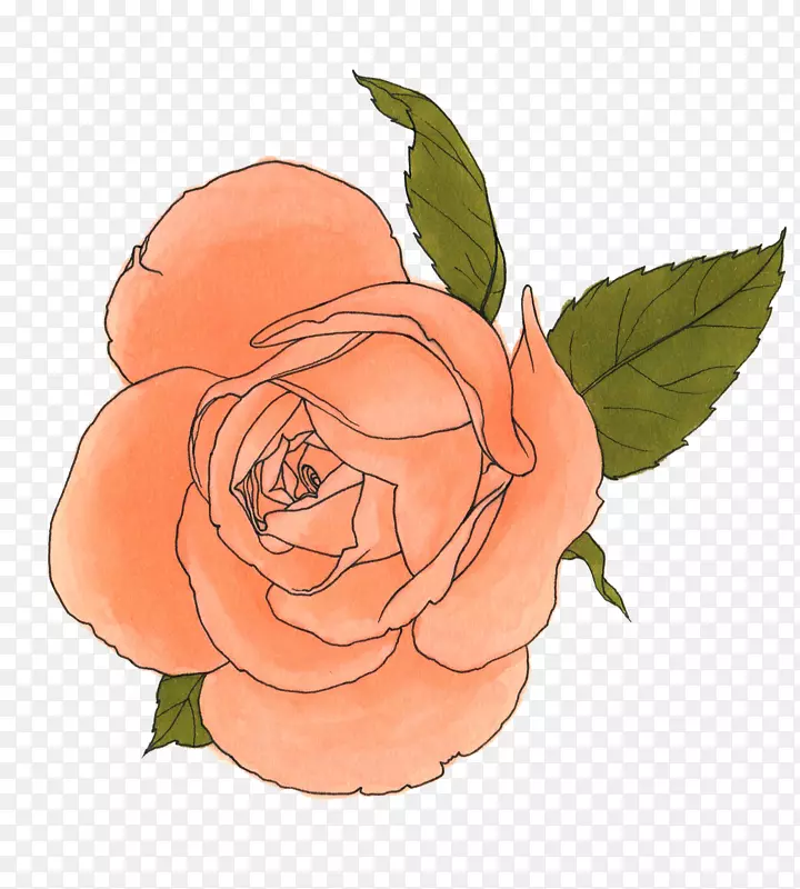 艺术绘画花园玫瑰.水彩画油墨