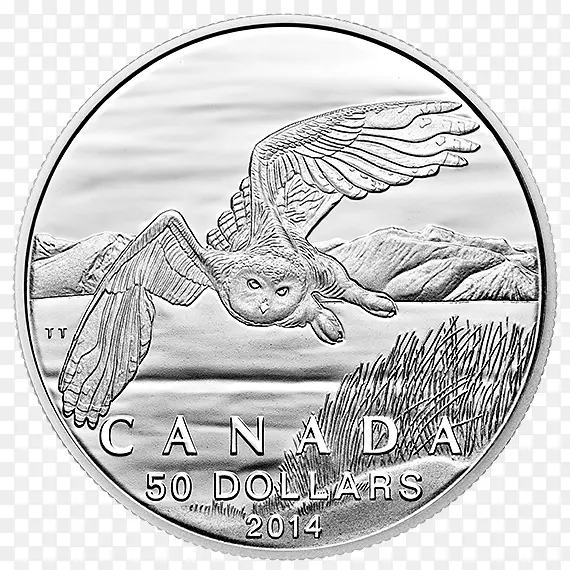 加拿大猫头鹰银币-50枚硬币