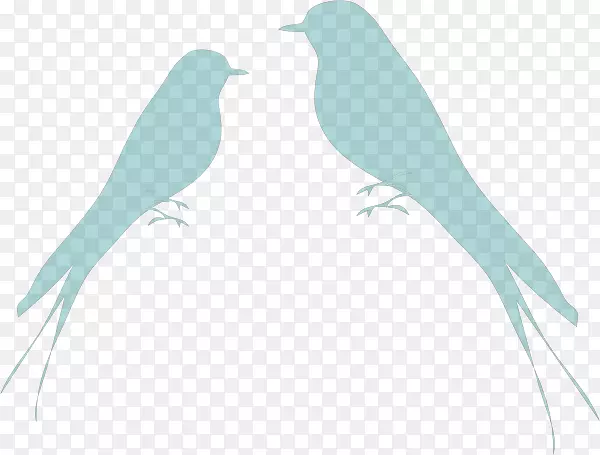 鸟鹦鹉夹艺术-鸟