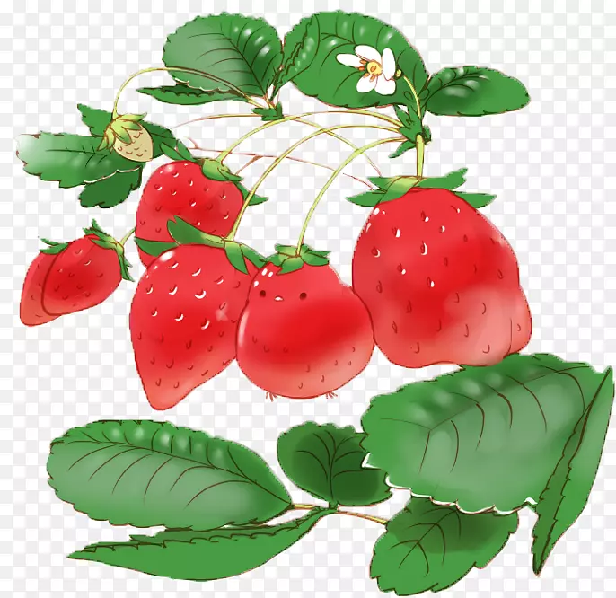 草莓派馅饼奶油食品-草莓