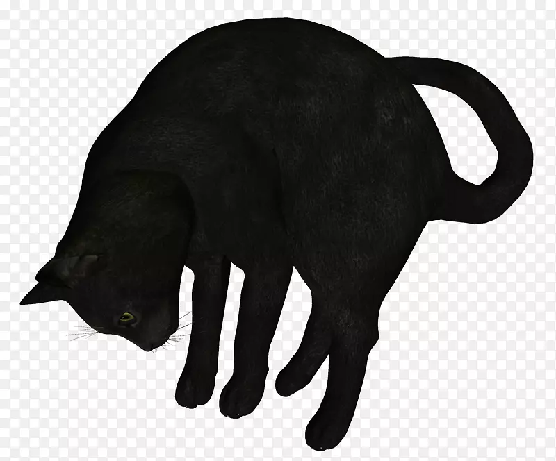 黑猫剪贴画