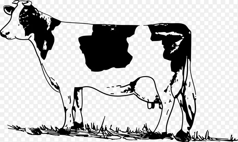 荷斯坦、弗里西亚牛、威尔士牛、白牛、公园牛、泽西牛、剪贴画