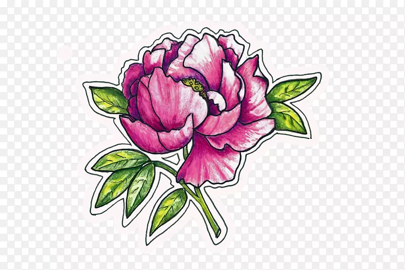 花卉设计：蜈蚣玫瑰切花牡丹花瓣粉红色牡丹