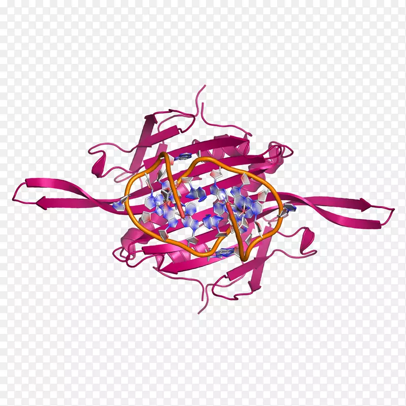 噬菌体MS2RNA噬菌体治疗病毒