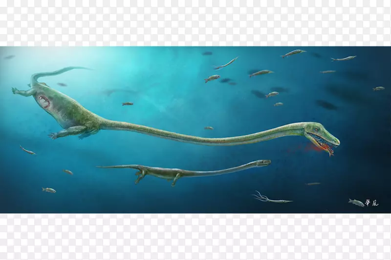 海怪爬行动物恐龙古生物学-海