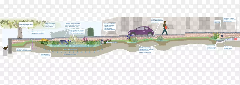 可持续排水系统沼泽地雨水收集雨水花园-水