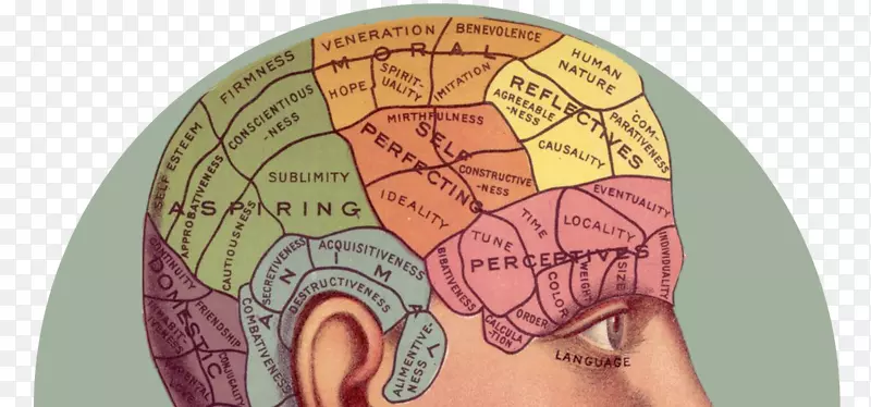 脑人头心理学-脑游戏