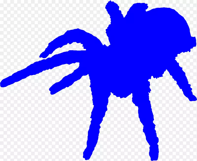海獭蜘蛛寄居蟹无脊椎动物沙漠龟蜘蛛