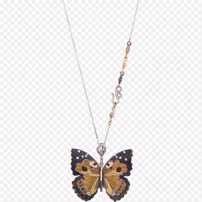 Kamehameha蝶，海伦娜·帕洛斯·弗德斯蓝蛾-蝴蝶