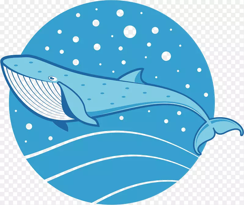 海豚画鲸鱼剪贴画-自然海洋动物鲸鱼