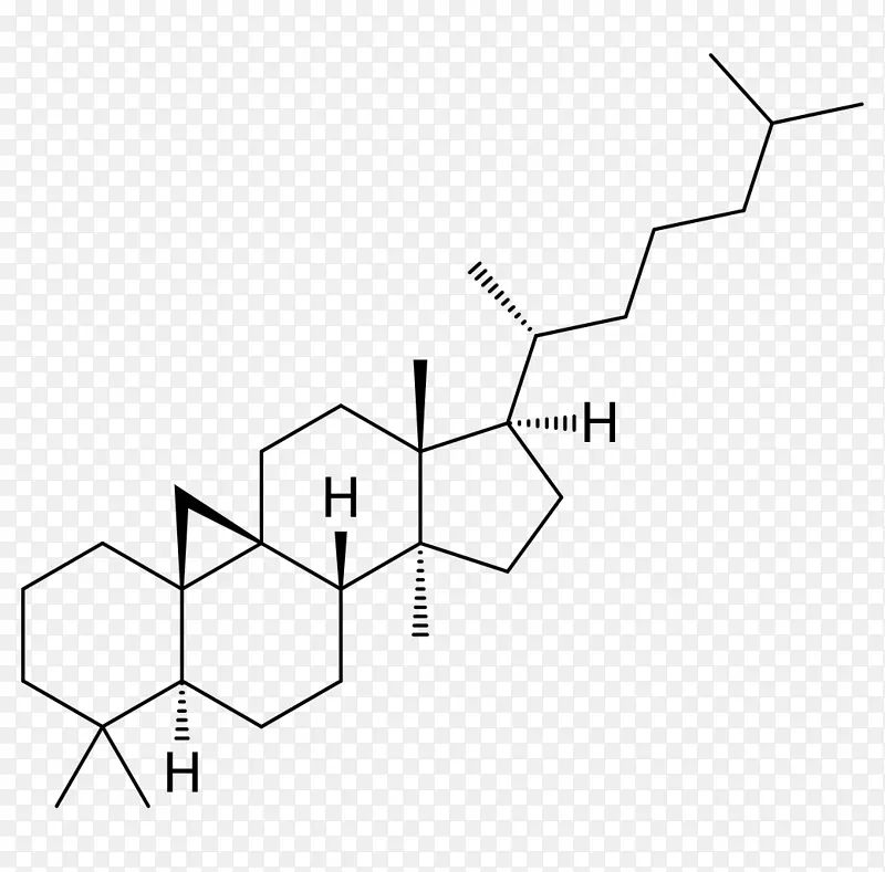 环丁香酚-Hopane化合物科学分子-胆固醇