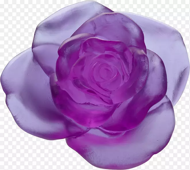 花园玫瑰涂抹紫色花卉图案.紫色