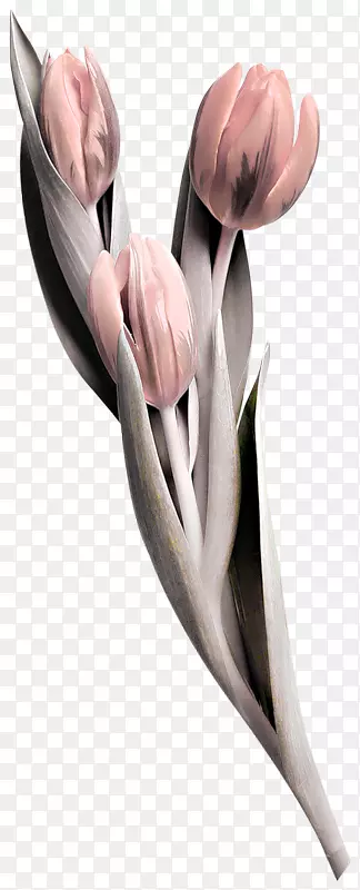 纹身博客花