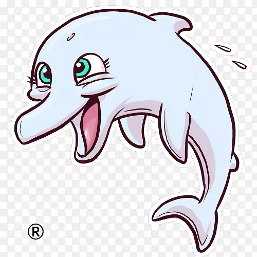 海洋海豚鲸鲨猫头鹰
