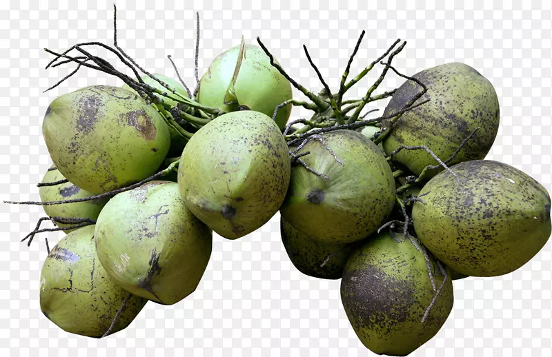 椰子水椰奶食品-椰子