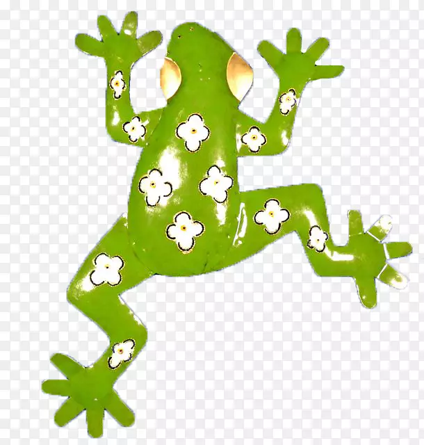 真正的青蛙卡皮兹艺术树蛙