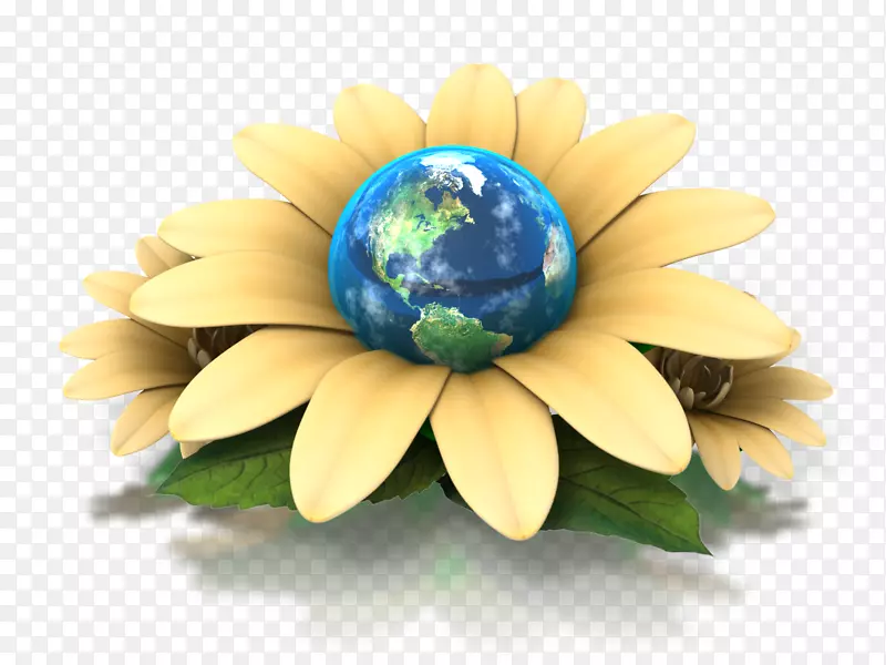 地球日鲜花对环境的影响-关爱地球