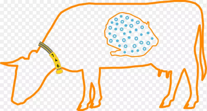 奶牛瘤胃动物微生物