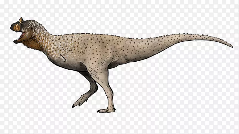 暴龙体表恐龙-恐龙史前王国