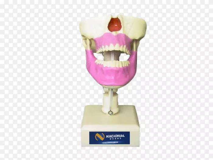 上颌牙科学-颌骨外科学