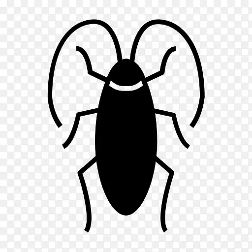 甲虫绘制杀虫剂害虫-甲虫