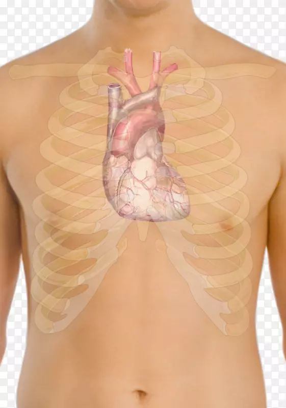 心脏心电图电极监测.心脏