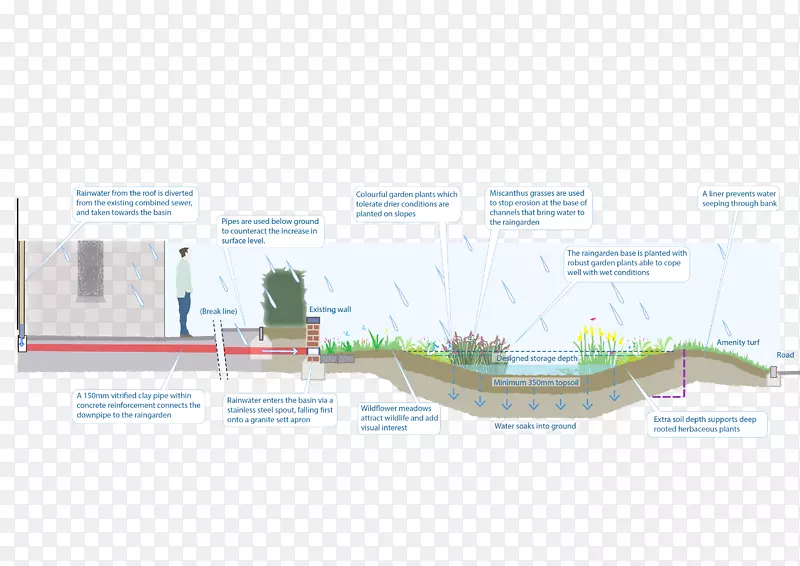 可持续排水系统雨水花园-雨水