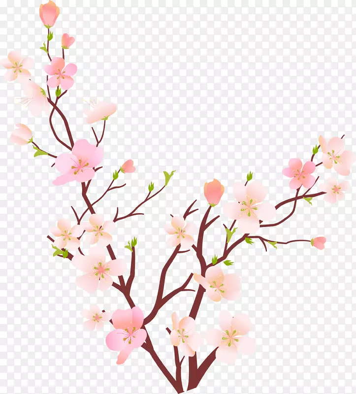 春季rgb彩色模型剪贴画木兰花枝