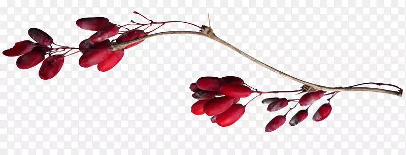 浆果八角夹艺术-红色植物