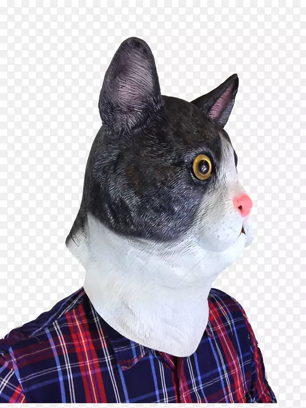 胡须猫面具头巾化妆派对猫