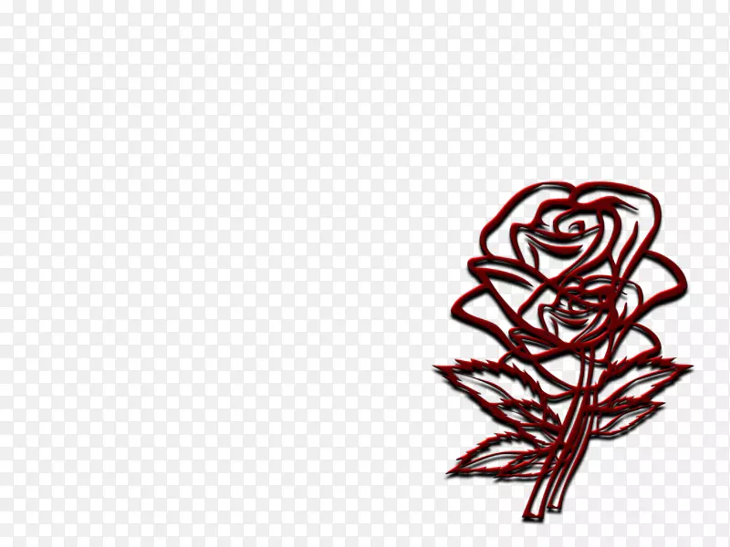 玫瑰花黑白画片艺术-玫瑰