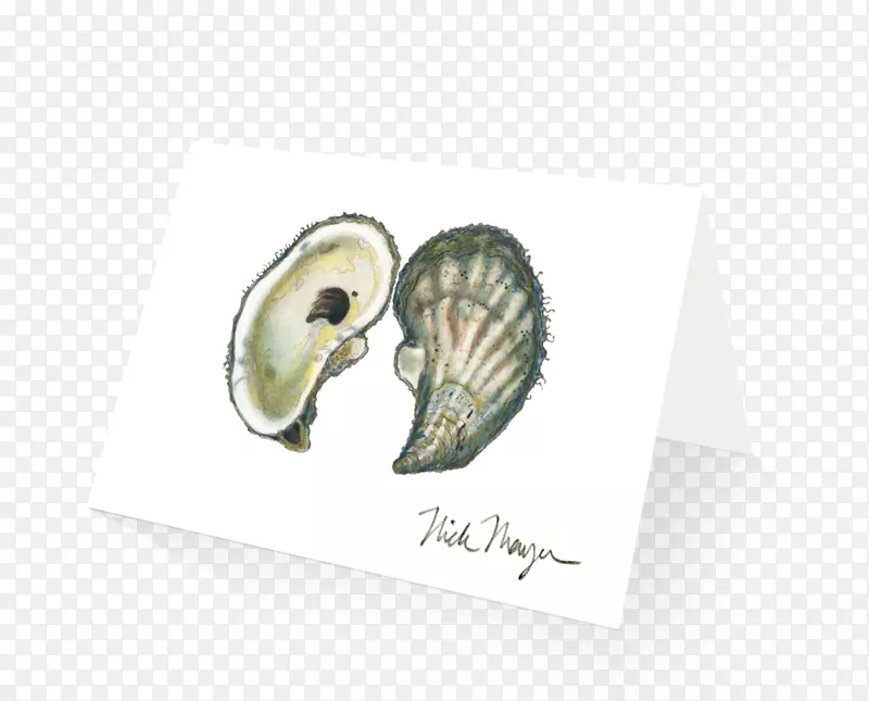 东牡蛎贝壳太平洋牡蛎扇贝