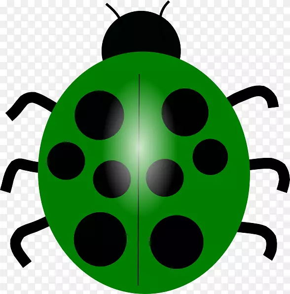 甲虫-瓢虫画夹艺术-甲虫