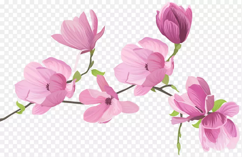 花卉设计切花甜豌豆夹艺术花