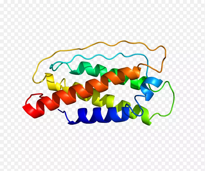 白细胞介素7细胞因子白细胞介素2基质蛋白