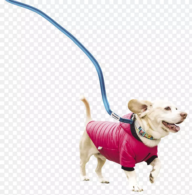 犬种