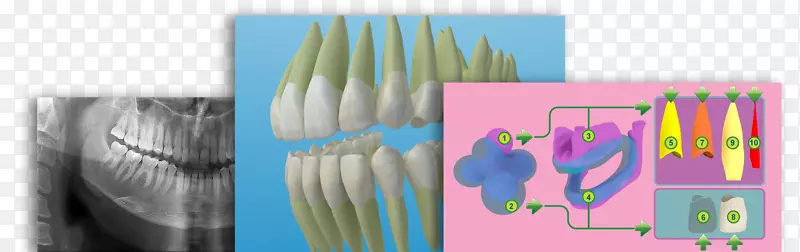 牙科解剖牙齿图形设计牙科.牙痛的三维牙科治疗