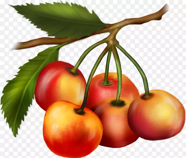 樱桃灌木，番茄，水果，桃子，素食-樱桃