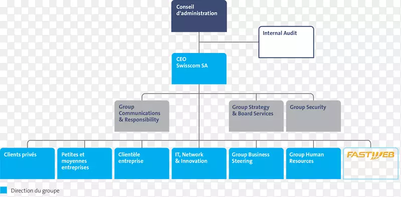 瑞士公司组织结构管理组织结构图-业务