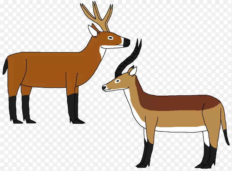 羚羊，有蹄类，麝香，驯鹿，麋鹿-驯鹿