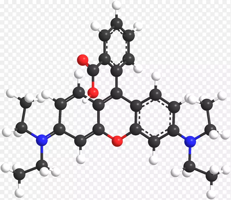 罗丹明b化学合成肽-POTS三维模型