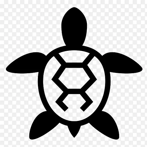 海龟电脑图标符号-海龟