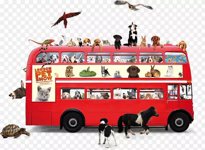 狗宠物双层巴士动物福利-狗