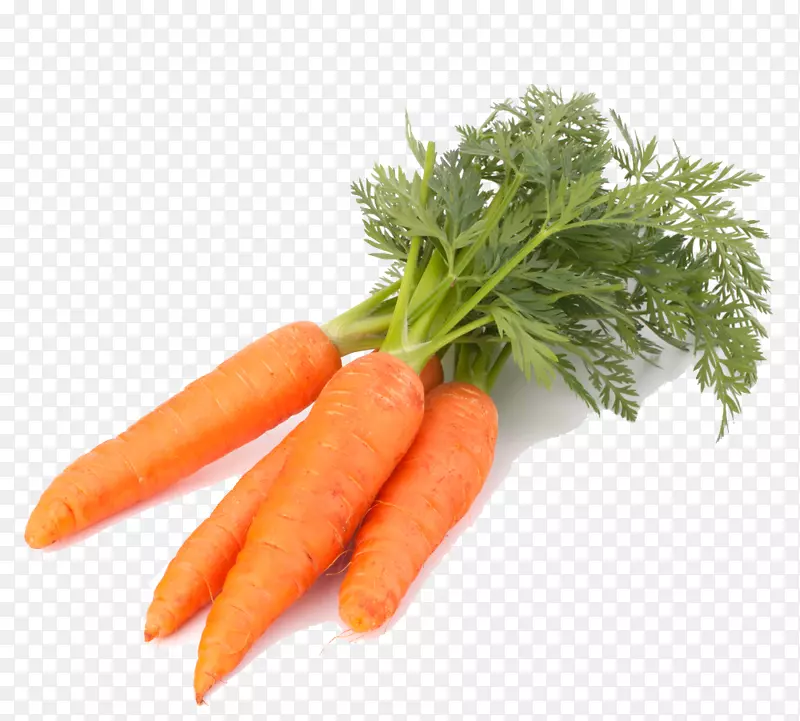 胡萝卜、卷心菜、剪贴画-胡萝卜
