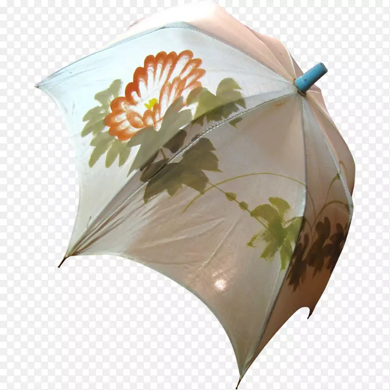 伞叶伞